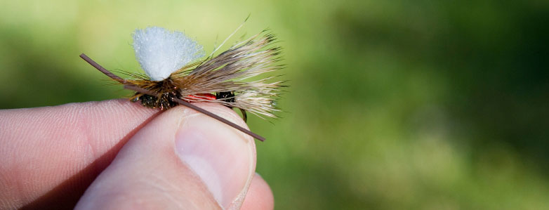 Fly Tying and Trout Flies